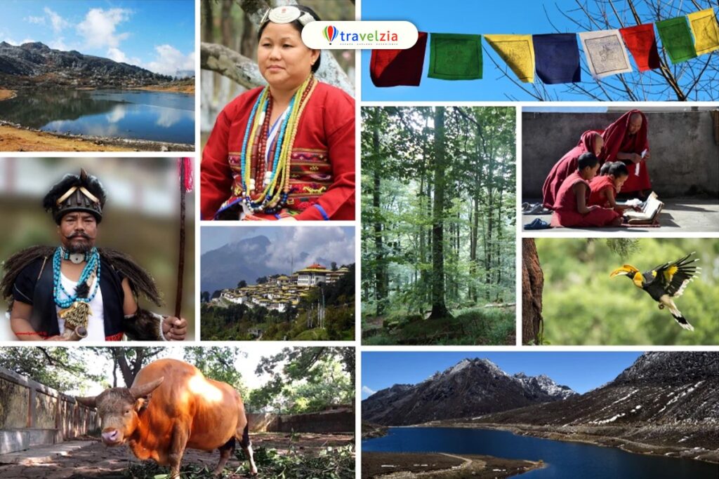 অরুণাচল প্রদেশের ৮ টি অপরূপ গন্তব্য যা ভ্রমণপ্রেমীদের মুগ্ধ করবেই