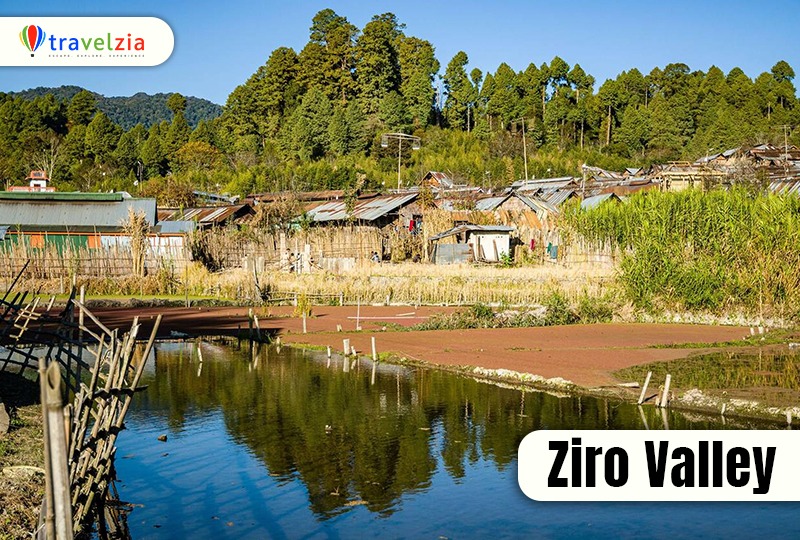 Ziro Valley