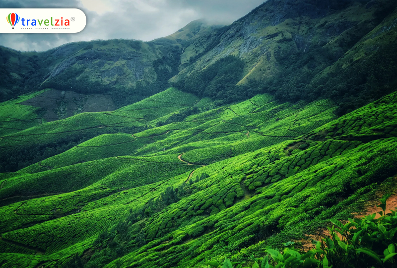 Munnar