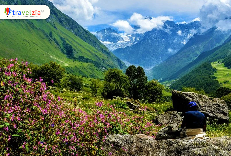 Valley-of-Flowers