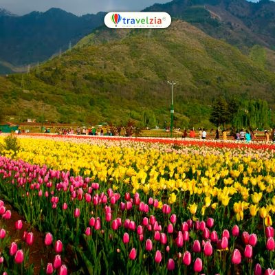 3215378e-78ff-431b-b081-056efadc4135